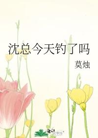 沈总今天钓了吗番外截图