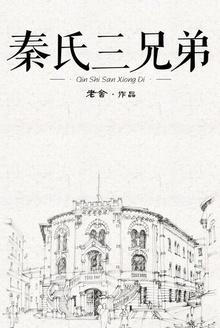 秦氏三兄弟电视剧全集