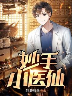 妙手小医仙TXT