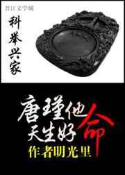 科举兴家唐瑾他天生好命2百度TXT
