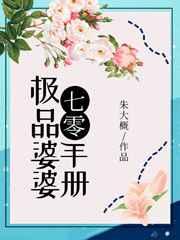 极品婆婆手册TXT