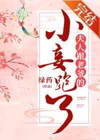 夫人跟老爷的小妾跑了年龄差