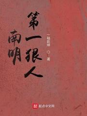 南明第一狠人TXT奇书网