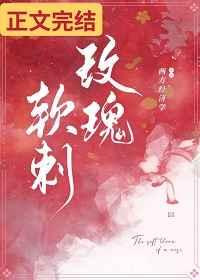 玫瑰软刺西方经济学最新章节