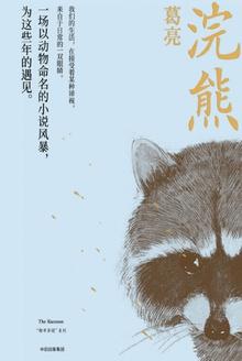 浣熊的英语