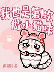 我也是第一次做猫咪英文