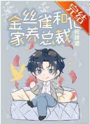金丝雀和他家养总裁讲的什么