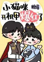 小猫咪开机甲爆红了千千