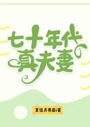 七十年代真夫妻免费全本TXT
