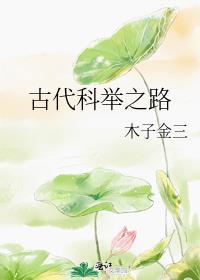古代科举之路木子金三免费阅读