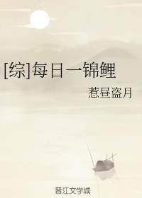 综每日一锦鲤百度资源免费观看