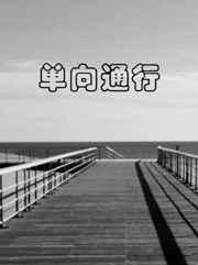单向通行金刚圈知乎