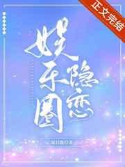 娱乐圈隐婚沈辞全文免费