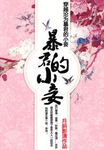 拐个皇子回现代
