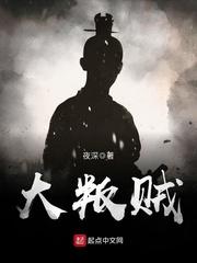 大叛贼起点