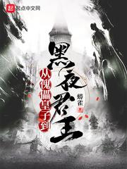 从傀儡皇子到黑夜君王 起点