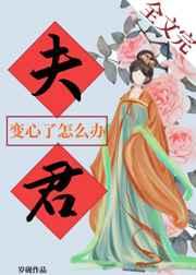 夫君变心了怎么办txt