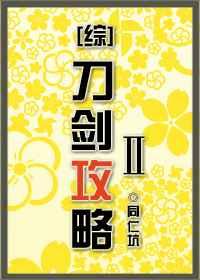 刀剑攻略ⅱ流星网