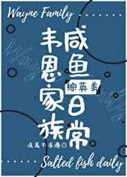 综英美韦恩家的大