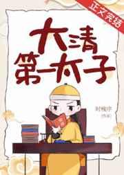 大清第一太子txt