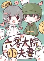 六零大院小夫妻作者流烟萝