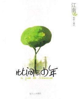 此间的少年2江南