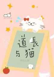 道长与猫无弹窗