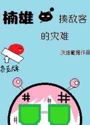 楠雄·揍敌客的灾难笔下