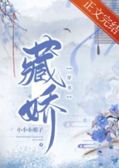 藏娇(穿书)作者小小小邪子