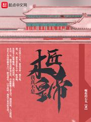 回到明朝做昏君朱由校