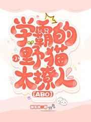 学霸的小野猫太撩人[abc