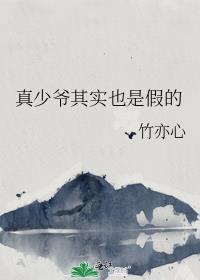 真少爷其实也是假的竹亦心TXT