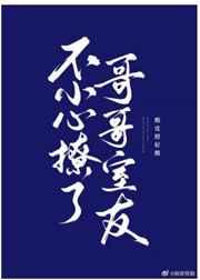 我觉得我大哥喜欢我by无边客