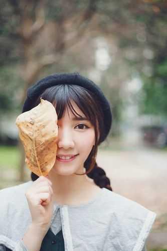 春日绯