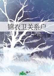 锦衣卫关系户格格党