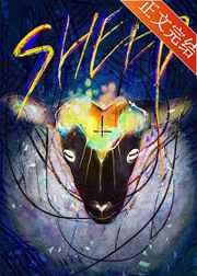 sheep