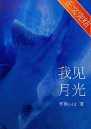 我见月光txt免费阅读