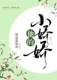 他的小娇娇txt