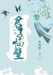 君子怀璧讲了什么