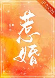惹婚免费阅读全文晋江