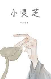 小灵芝多少钱一斤