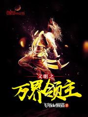 文明之万界领主TXT