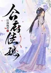 公府佳媳作者江南梅萼