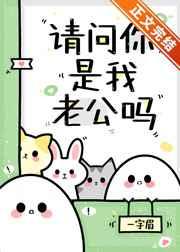 请问你是我老公吗免费阅读笔趣阁