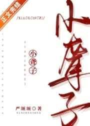 小聋子受决定摆烂任宠有车吗
