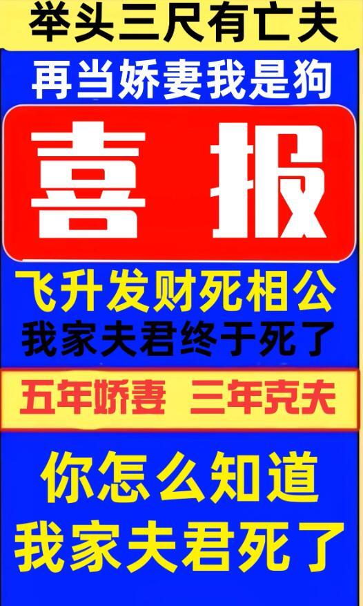 举头三尺有亡夫电视剧