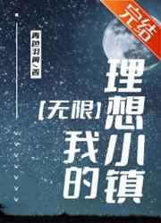 我的理想小镇无限TXT