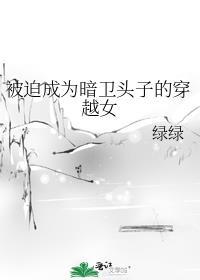 被迫成为暗卫头子的穿越女全文