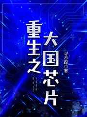 重生之大国芯片txt
