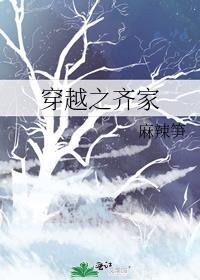 穿越之齐家by麻辣笋讲什么